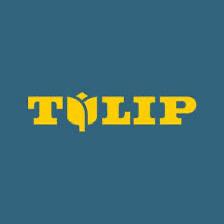 Tulip